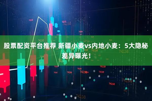 股票配资平台推荐 新疆小麦vs内地小麦：5大隐秘差异曝光！